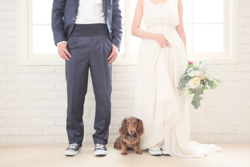 ペットフォト 犬