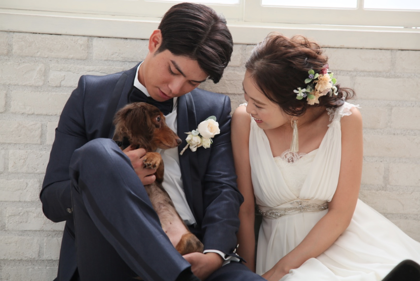 ペットフォト 犬