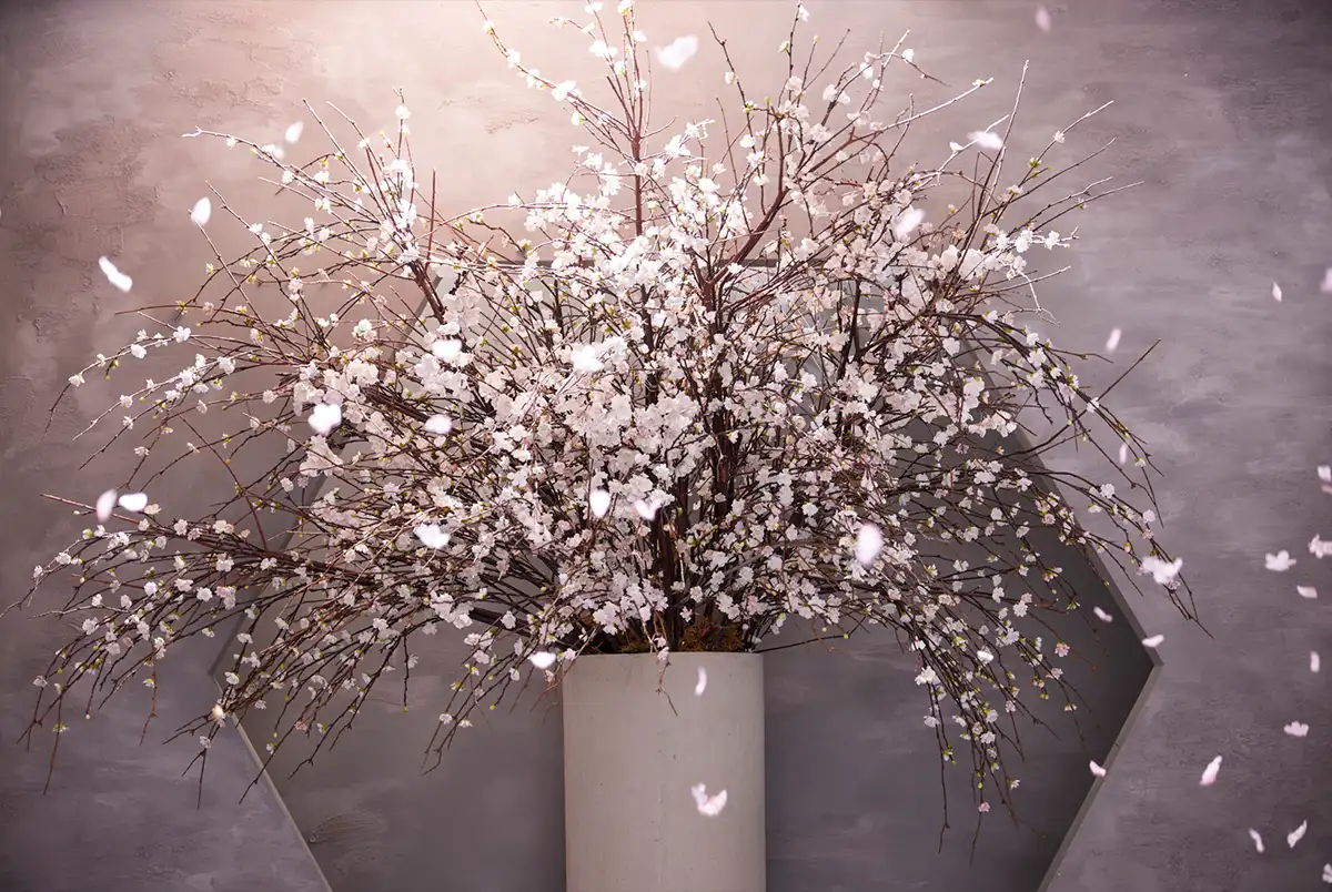 東京のスタジオでフォトウェディング